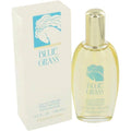 Blue Grass by Elizabeth Arden