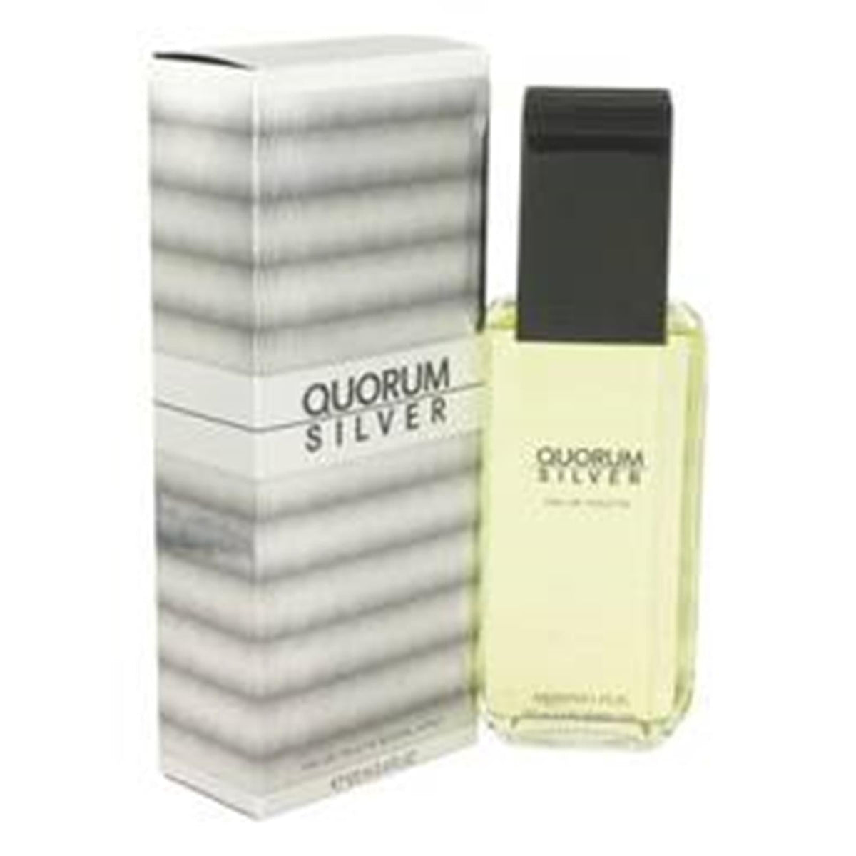 Quorum Silver Antonio Puig 100ml Edt Spray For Men